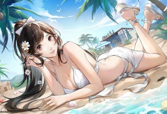 P5X: Guida all'uso di Summer Marian (Beachflower Minami Miyashita)